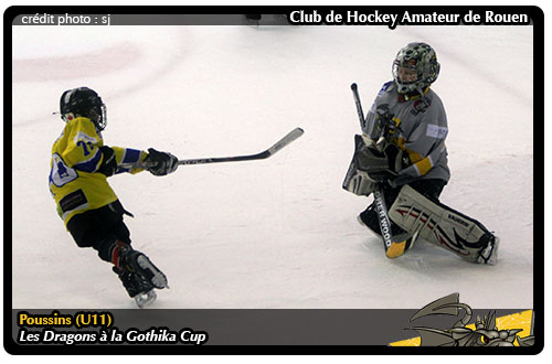 Amateur de hockey agree with Amateur de hockey really. happens